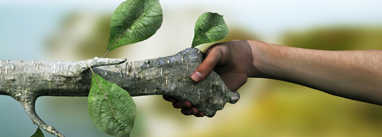 Environmental Policy Environmental Policy