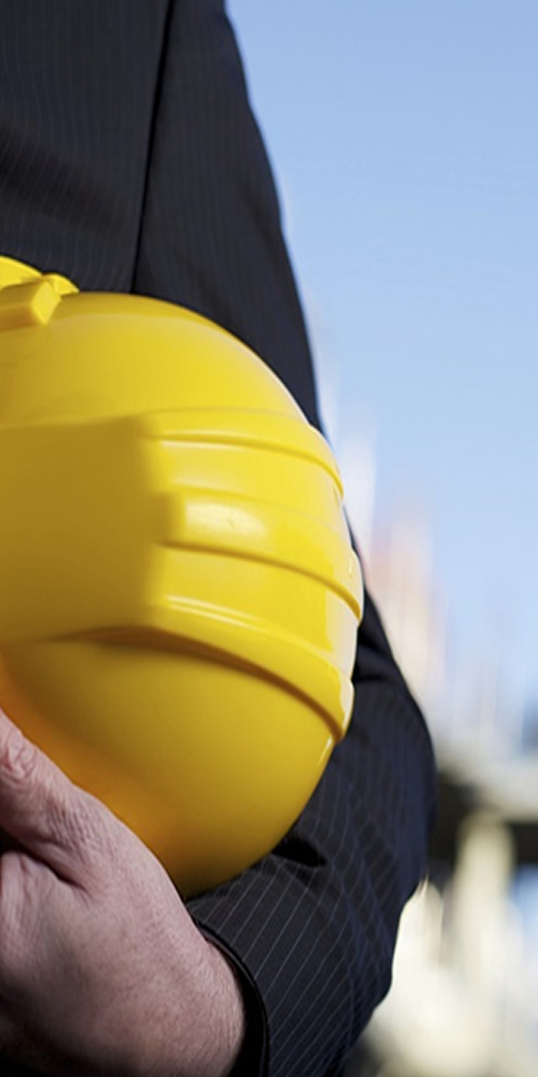 Project Consultancy Background 01